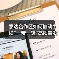 泰达合作区如何推动中埃