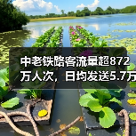 中老铁路客流量超872万人次，日均发送5.7万助推区域经济（图3）