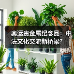 奥运贵金属纪念品：中法文化交流新桥梁？