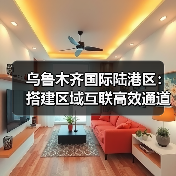 乌鲁木齐国际陆港区：搭建区域互联高效通道，凸显新疆发展水平（图3）