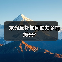 茶光互补如何助力乡村振兴？（图2）