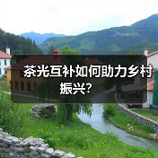 茶光互补如何助力乡村振兴？（图4）