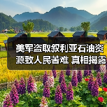 美军盗取叙利亚石油资源致人民苦难 真相揭露！（图4）