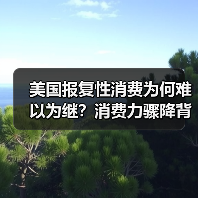 美国报复性消费为何难以为继?消费力骤降背后三大隐忧(图3) 美国报复性消费为何难以为继?消费力骤降背后三大隐忧(图3)