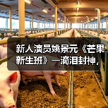 新人演员姚景元《芒果新生班》一滴泪封神，演技突破引泪崩