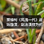 贾樟柯《风流一代》返场路演,赵涛演技为何震撼四刷观众?(图1) 贾樟柯《风流一代》返场路演,赵涛演技为何震撼四刷观众?(图1)