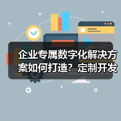 企业专属数字化解决方案如何打造?定制开发全流程解析(图3) 企业专属数字化解决方案如何打造?定制开发全流程解析(图3)