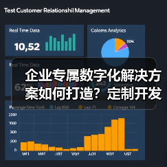 企业专属数字化解决方案如何打造?定制开发全流程解析(图4) 企业专属数字化解决方案如何打造?定制开发全流程解析(图4)