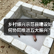 乡村振兴示范县建设如何协同推进五大振兴？（图4）
