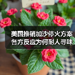 美国推销加沙停火方案 各方反应为何耐人寻味?(图4) 美国推销加沙停火方案 各方反应为何耐人寻味?(图4)