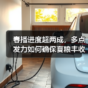 春播进度超两成，多点发力如何确保夏粮丰收？