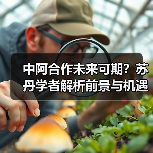 中阿合作未来可期？苏丹学者解析前景与机遇
