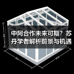 中阿合作未来可期？苏丹学者解析前景与机遇（图4）