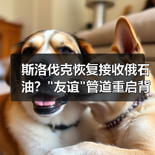 斯洛伐克恢复接收俄石油？