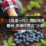 《风流一代》国际预告曝光 贾樟柯直言 《风流一代》国际预告曝光 贾樟柯直言