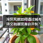 湾区风貌如何通过城与味交融展现兼容并包?(图2) 湾区风貌如何通过城与味交融展现兼容并包?(图2)