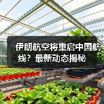 伊朗航空将重启中国航线？最新动态揭秘