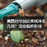 美国对华加征关税冲击几何?深度解析影响(图2) 美国对华加征关税冲击几何?深度解析影响(图2)