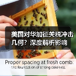 美国对华加征关税冲击几何?深度解析影响(图3) 美国对华加征关税冲击几何?深度解析影响(图3)