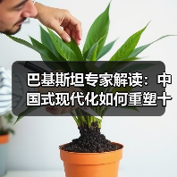 巴基斯坦专家解读:中国式现代化如何重塑十亿人生活?(图3) 巴基斯坦专家解读:中国式现代化如何重塑十亿人生活?(图3)