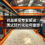巴基斯坦专家解读:中国式现代化如何重塑十亿人生活?(图4) 巴基斯坦专家解读:中国式现代化如何重塑十亿人生活?(图4)