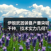 伊朗武器装备产量突破千种，技术实力几何？