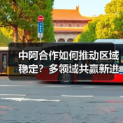 中阿合作如何推动区域稳定?多领域共赢新进展(图2) 中阿合作如何推动区域稳定?多领域共赢新进展(图2)