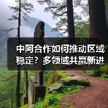 中阿合作如何推动区域稳定?多领域共赢新进展(图4) 中阿合作如何推动区域稳定?多领域共赢新进展(图4)