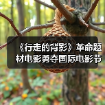 《行走的背影》革命题材电影勇夺国际电影节最佳男主角奖(图1) 《行走的背影》革命题材电影勇夺国际电影节最佳男主角奖(图1)