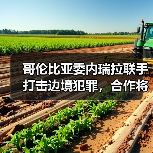 哥伦比亚委内瑞拉联手打击边境犯罪，合作将带来哪些影响？