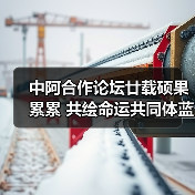 中阿合作论坛廿载硕果累累 共绘命运共同体蓝图（图4）