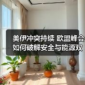 美伊冲突持续 欧盟峰会如何破解安全与能源双重困局？（图4）