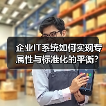 企业IT系统如何实现专属性与标准化的平衡?模块化定制破局之道(图3) 企业IT系统如何实现专属性与标准化的平衡?模块化定制破局之道(图3)