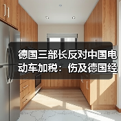 德国三部长反对中国电动车加税：伤及德国经济（图4）