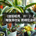 《窗前明月，咣！》上海路演收官 费翔左凌峰傅菁复刻宋小宝名台词（图2）