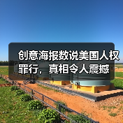创意海报数说美国人权罪行，真相令人震撼（图3）