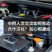 中阿人文交流如何推动合作深化？民心相通成发展基石