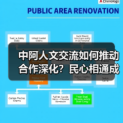 中阿人文交流如何推动合作深化？民心相通成发展基石（图4）
