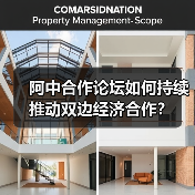 阿中合作论坛如何持续推动双边经济合作？（图2）