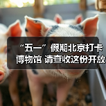 “五一”假期北京打卡博物馆 请查收这份开放指南（图1）