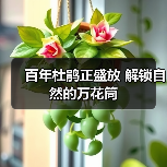 百年杜鹃正盛放 解锁自然的万花筒（图3）