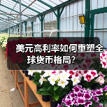 美元高利率如何重塑全球货币格局？