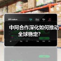 中阿合作深化如何推动全球稳定?(图3) 中阿合作深化如何推动全球稳定?(图3)