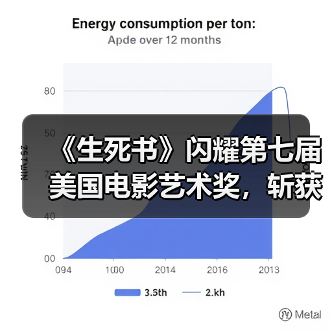 《生死书》闪耀第七届美国电影艺术奖,斩获两项大奖(图1) 《生死书》闪耀第七届美国电影艺术奖,斩获两项大奖(图1)