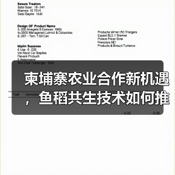柬埔寨农业合作新机遇,鱼稻共生技术如何推动产业革新?(图4) 柬埔寨农业合作新机遇,鱼稻共生技术如何推动产业革新?(图4)