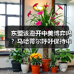 东盟该避开中美博弈吗？马哈蒂尔呼吁保持中立（图4）