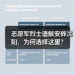 志愿军烈士遗骸安葬沈阳，为何选择这里？（图2）