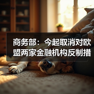 商务部：今起取消对欧盟两家金融机构反制措施（图3）