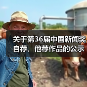 关于第36届中国新闻奖自荐、他荐作品的公示（图3）