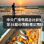 中央广播电视总台参加第36届中国新闻奖国际传播专项初评作品公示（图3）